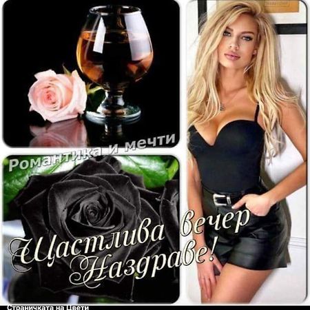 Къща За Гости "Черната Роза" Bŭlgarevo エクステリア 写真